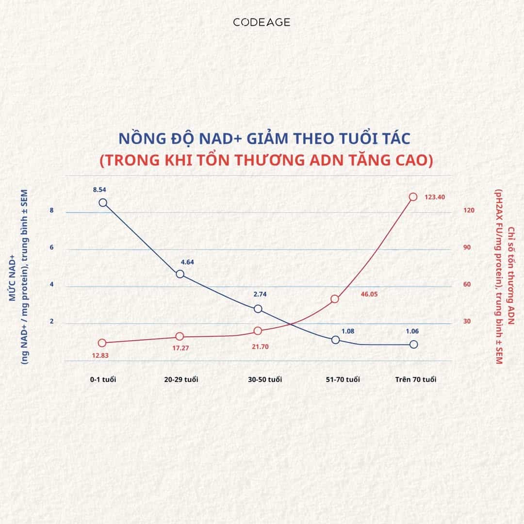 NMN Trong Nghiên Cứu Lâm Sàng Về Lão Hóa, Sửa Chữa Gen và Bảo Vệ DNA